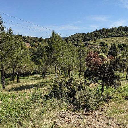 Bergerie Eco-Gite Serre Rouge Durban-Corbieres Εξωτερικό φωτογραφία